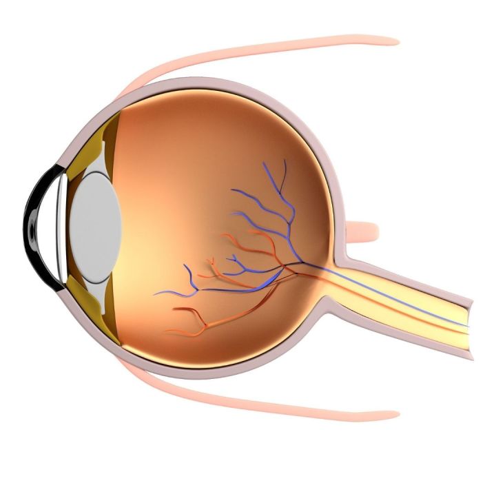 Cataractă: primele semne și când să mergi la medic